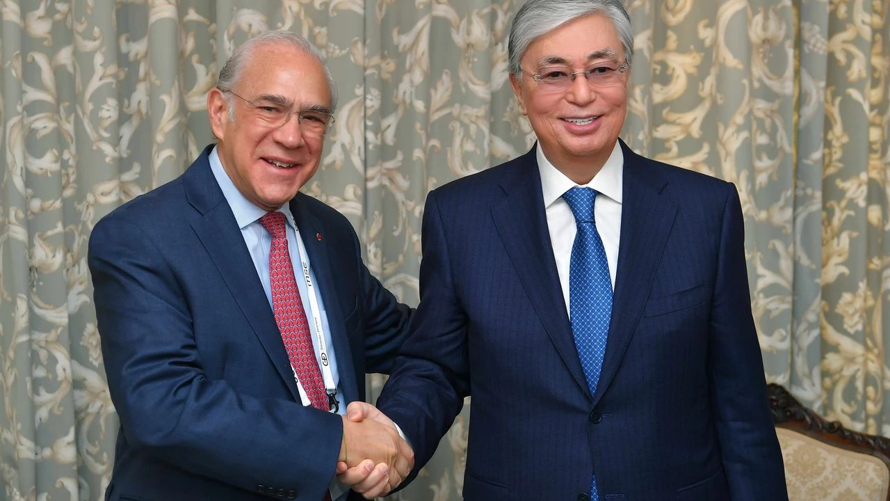 The President of Kazakhstan meets José Ángel Gurría, Secretary-General of the Organisation for Economic Cooperation and Development 