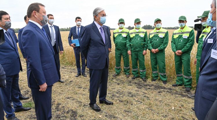 Мемлекет басшысы Солтүстік Қазақстан облысындағы егін жинау науқанының барысымен танысты